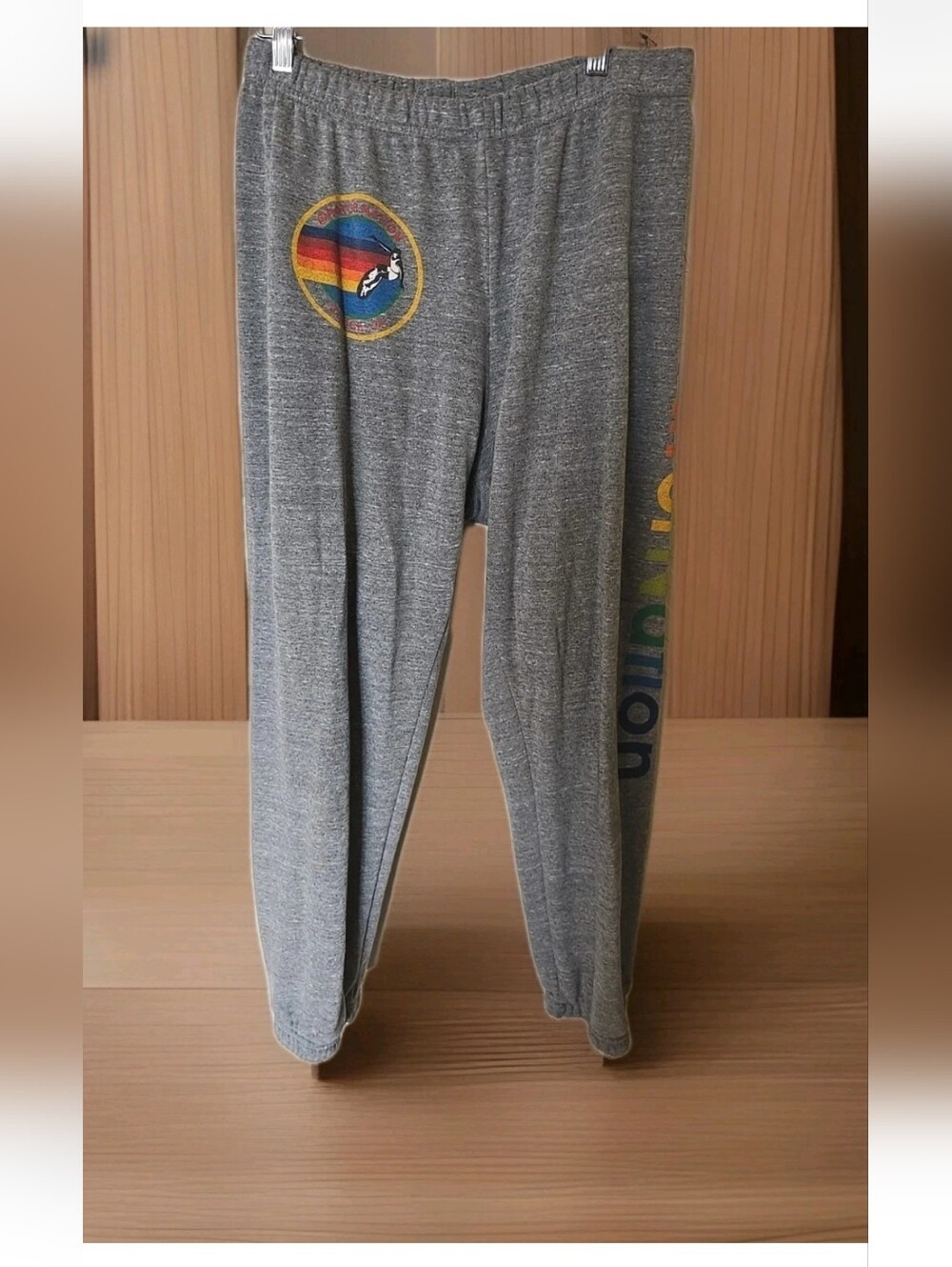 Aviator Nation Womens Size XL Logo Joggers